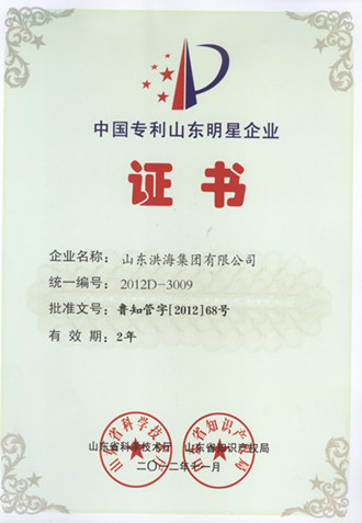中国专利山东明星企业称号